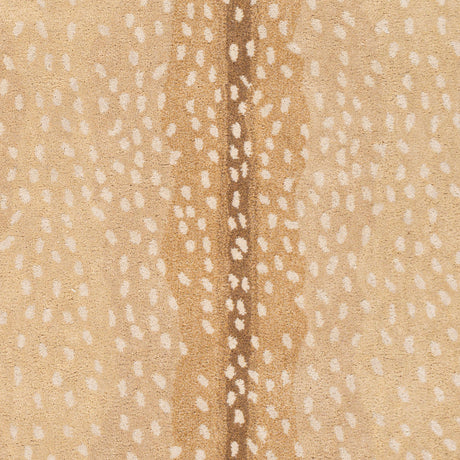 Surya Gazelle Gzl-2300 Camel, Beige, Taupe, Wheat Rugs.