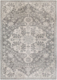 Surya Harput Hap-1061 Beige, Light Gray, Charcoal, Black Area Rug