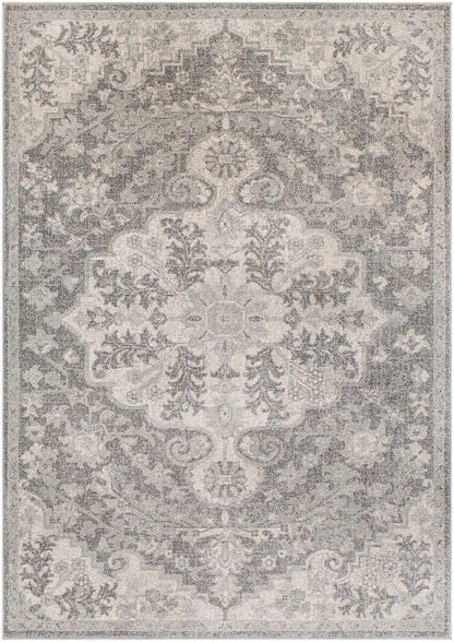 Surya Harput Hap-1070 Light Gray, Charcoal, Beige Area Rug