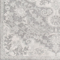 Surya Harput Hap-1070 Light Gray, Charcoal, Beige Area Rug