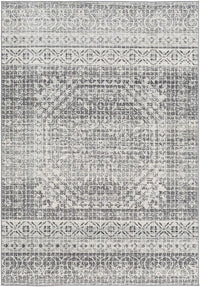 Surya Harput Hap-1080 Light Gray, Charcoal, Beige, Black Area Rug