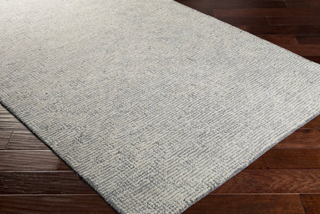 Surya Halcyon Hcy-2302 Medium Gray, Cream Rugs.