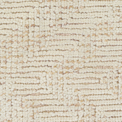 Surya Halcyon Hcy-2303 Taupe, Cream Area Rug