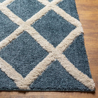 Surya Hudson Shag Hds-2301 Blue Area Rug