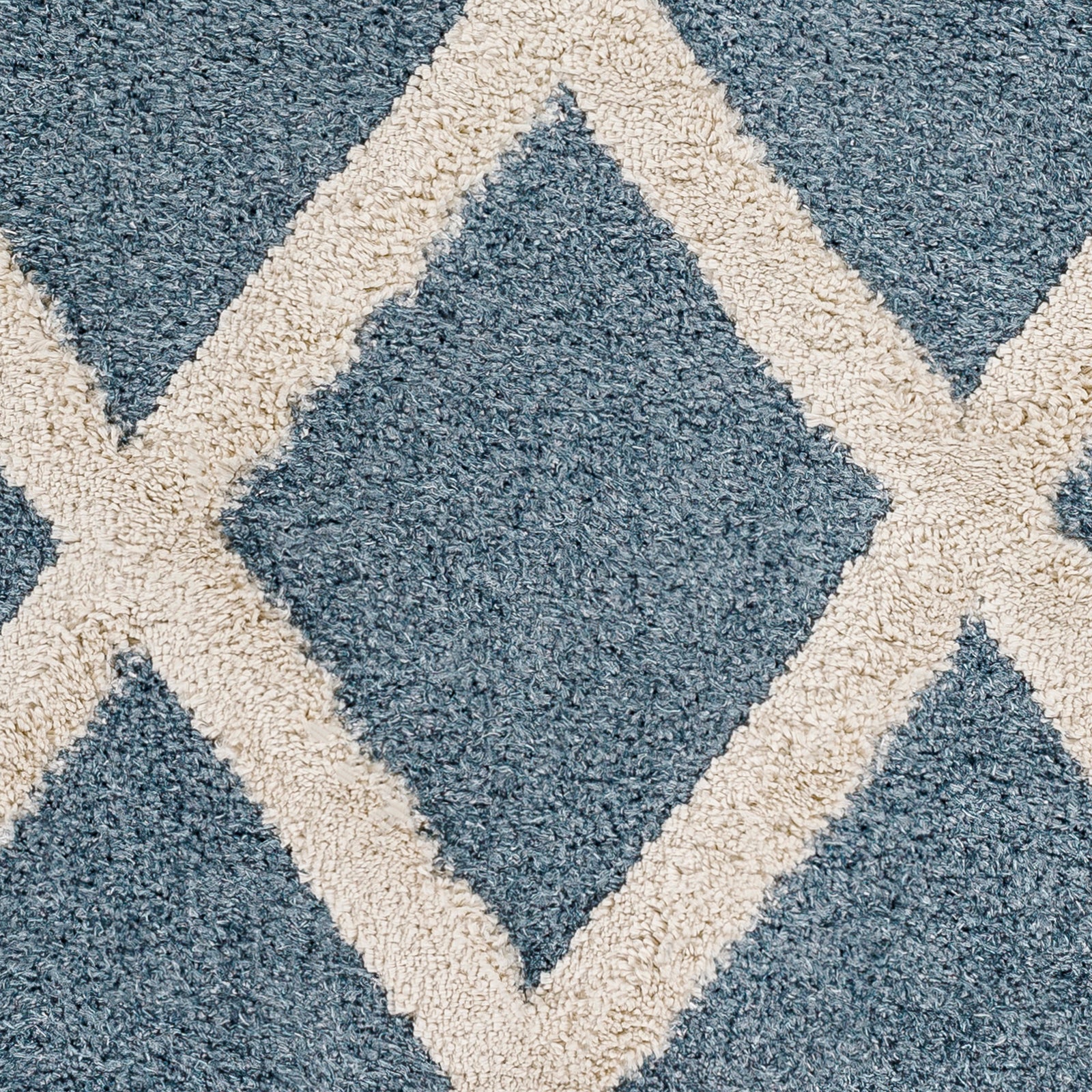 Surya Hudson Shag Hds-2301 Blue Area Rug