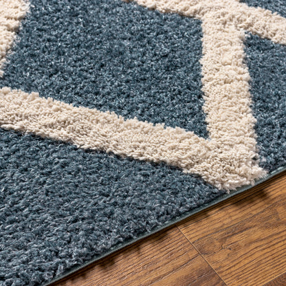 Surya Hudson Shag Hds-2301 Blue Area Rug