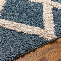 Surya Hudson Shag Hds-2301 Blue Area Rug