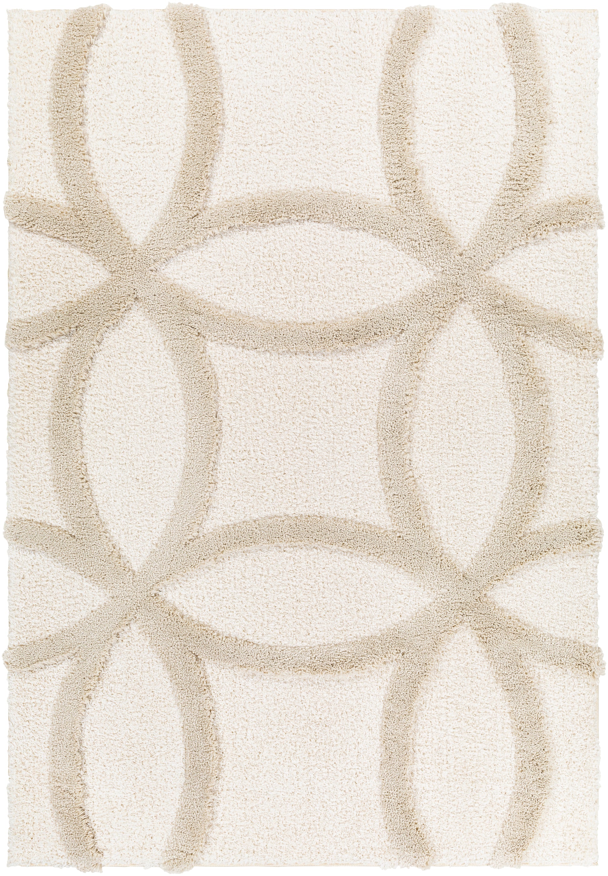 Surya Hudson Shag Hds-2303 Beige Area Rug