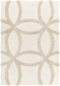 Surya Hudson Shag Hds-2303 Beige Area Rug