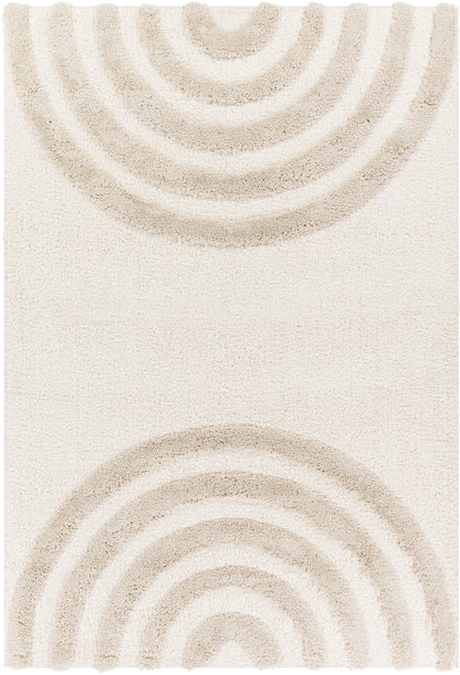 Surya Hudson Shag Hds-2308 Beige Area Rug