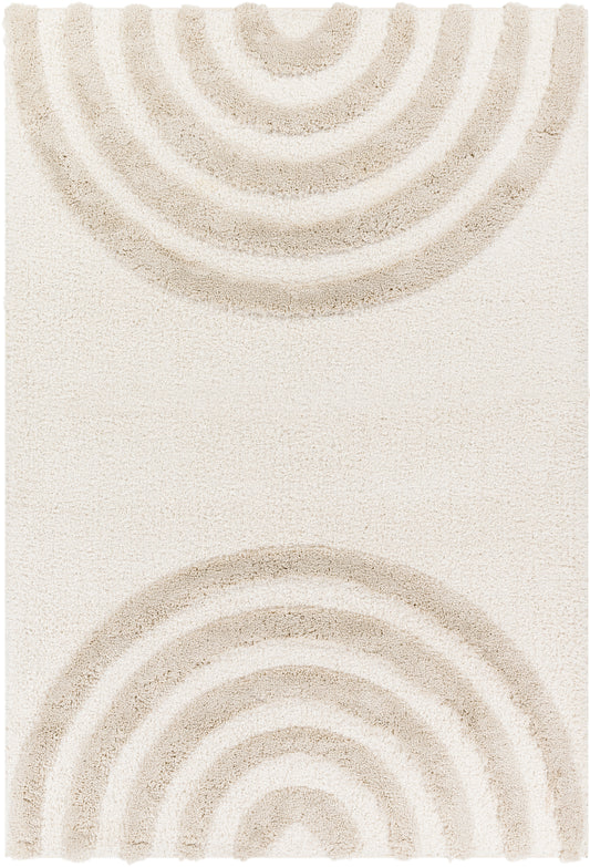 Surya Hudson Shag Hds-2308 Beige Area Rug