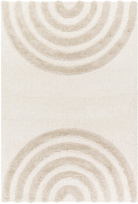 Surya Hudson Shag Hds-2308 Beige Area Rug