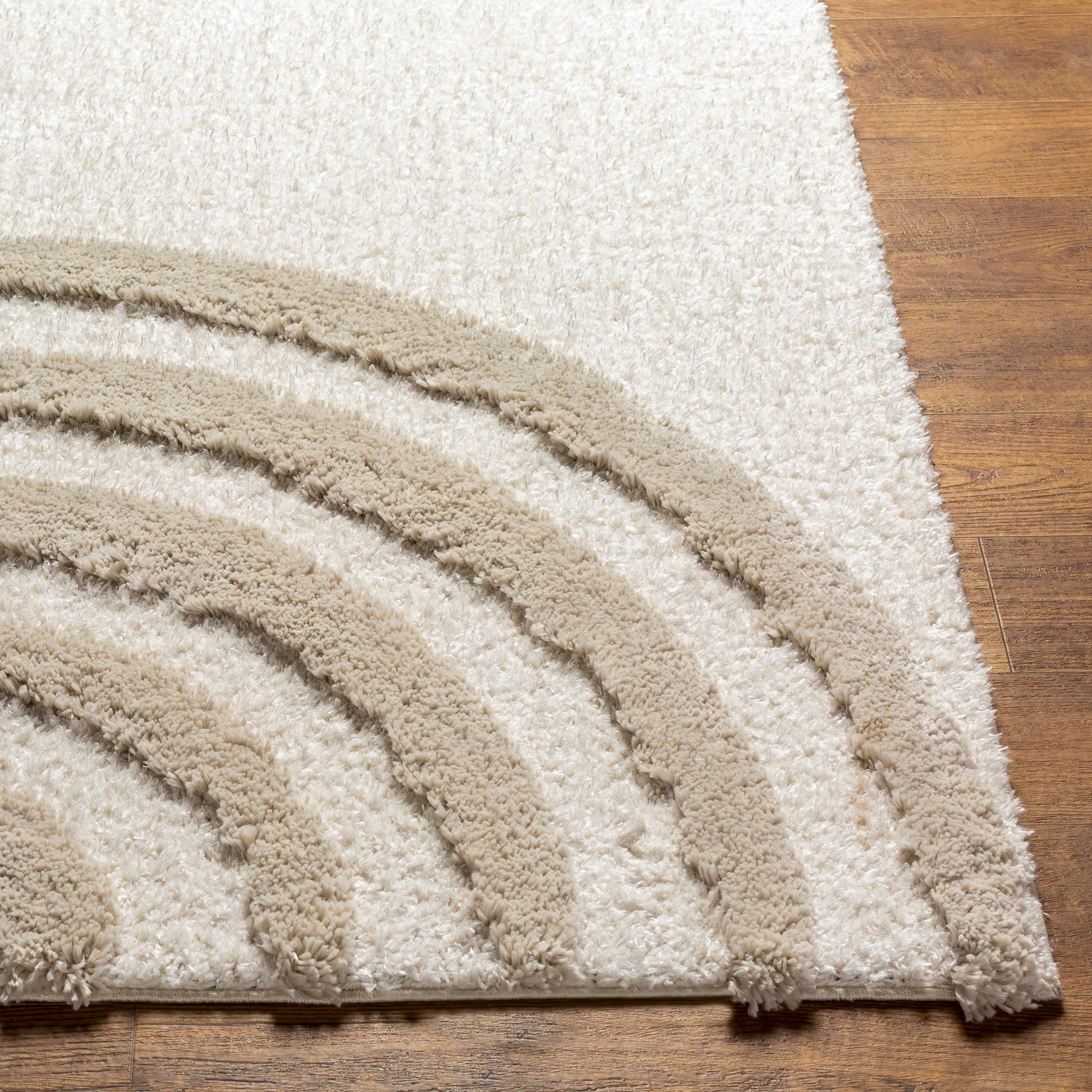 Surya Hudson Shag Hds-2308 Beige Area Rug