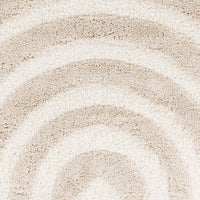 Surya Hudson Shag Hds-2308 Beige Area Rug