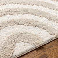 Surya Hudson Shag Hds-2308 Beige Area Rug