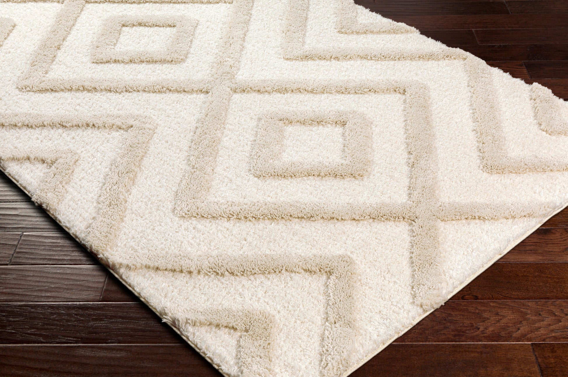 Surya Hudson Shag Hds-2309 Beige Area Rug