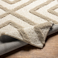 Surya Hudson Shag Hds-2309 Beige Area Rug