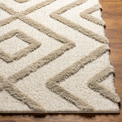 Surya Hudson Shag Hds-2309 Beige Area Rug