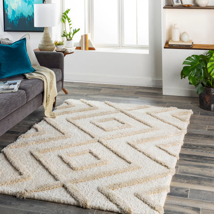 Surya Hudson Shag Hds-2309 Beige Area Rug