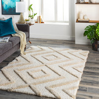 Surya Hudson Shag Hds-2309 Beige Area Rug