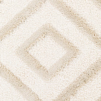 Surya Hudson Shag Hds-2309 Beige Area Rug