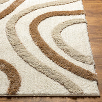 Surya Hudson Shag Hds-2311 Brown Area Rug