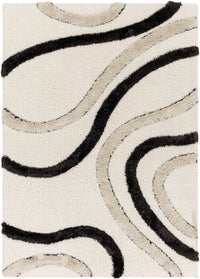 Surya Hudson Shag Hds-2312 Black Area Rug