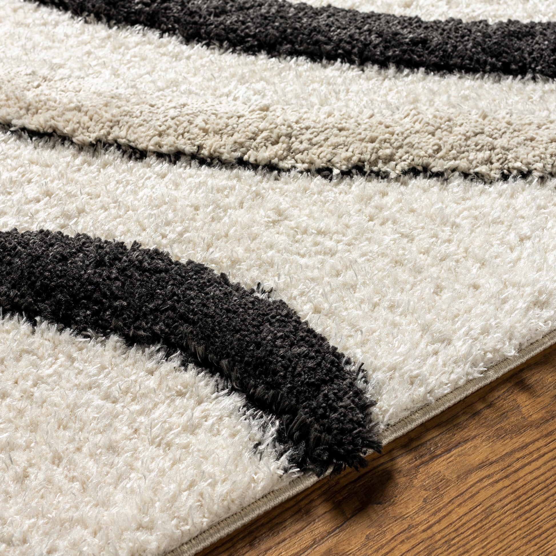 Surya Hudson Shag Hds-2312 Black Area Rug