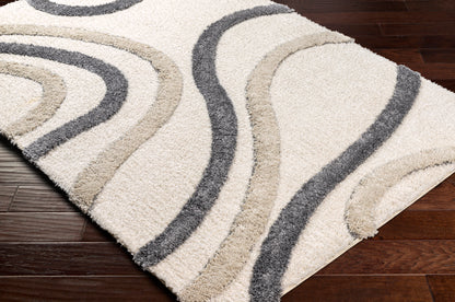 Surya Hudson Shag Hds-2313 Grey Area Rug