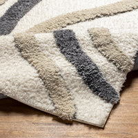 Surya Hudson Shag Hds-2313 Grey Area Rug