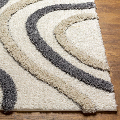 Surya Hudson Shag Hds-2313 Grey Area Rug