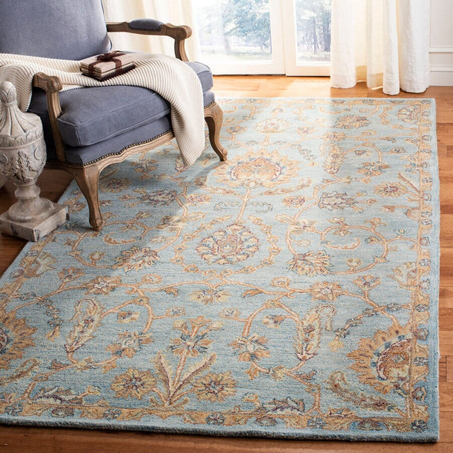 Safavieh Heritage Hg274A Light Blue / Multi Rugs.