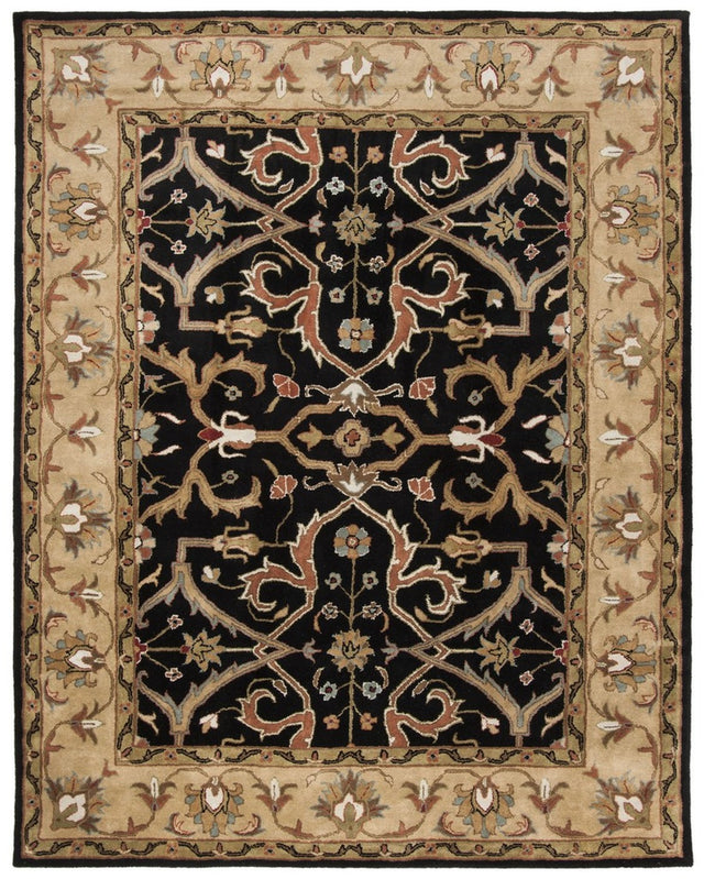 Safavieh Heritage hg644a Charcoal / Beige Rugs.