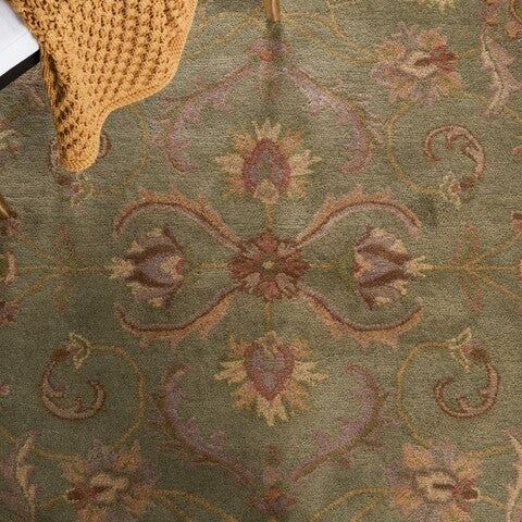 Safavieh Heritage hg811a Green / Gold Rugs.