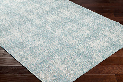 Surya Hampton Hpt-2300 Green Area Rug