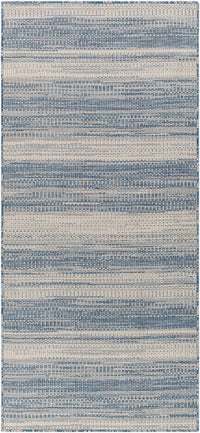 Surya Hampton Hpt-2301 Blue Area Rug