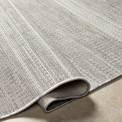 Surya Hampton Hpt-2302 Beige Area Rug