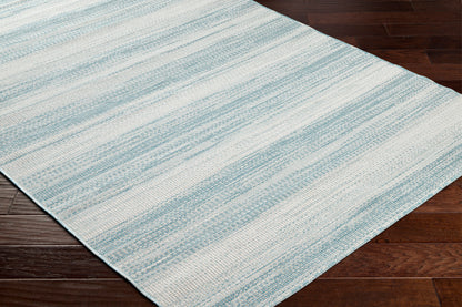 Surya Hampton Hpt-2303 Light Blue Area Rug