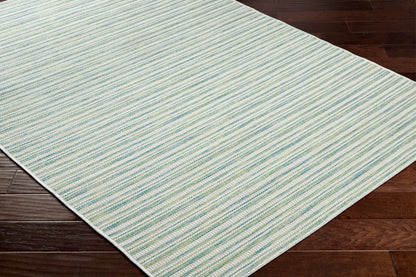 Surya Hampton Hpt-2307 Green Area Rug