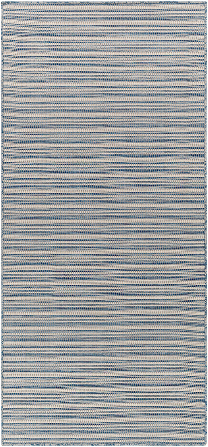 Surya Hampton Hpt-2308 Blue Area Rug