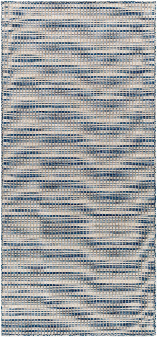 Surya Hampton Hpt-2308 Blue Area Rug