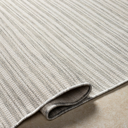 Surya Hampton Hpt-2313 Beige Area Rug