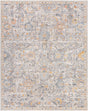 Surya Hassler Hsl-2303 Grey Rug.