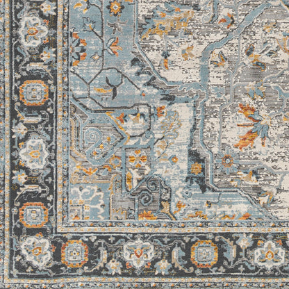 Surya Hassler Hsl-2307 Grey Area Rug