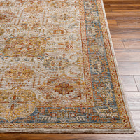 Surya Naila Ial-2308 Brown Area Rug