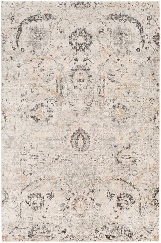 Surya Indigo Igo-2318 Charcoal, Tan, Black, Beige Rugs.