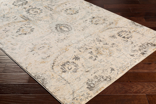 Surya Indigo Igo-2319 Charcoal, Beige, Black, Medium Gray Rugs.