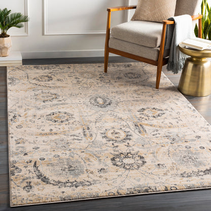 Surya Indigo Igo-2319 Charcoal, Beige, Black, Medium Gray Area Rug