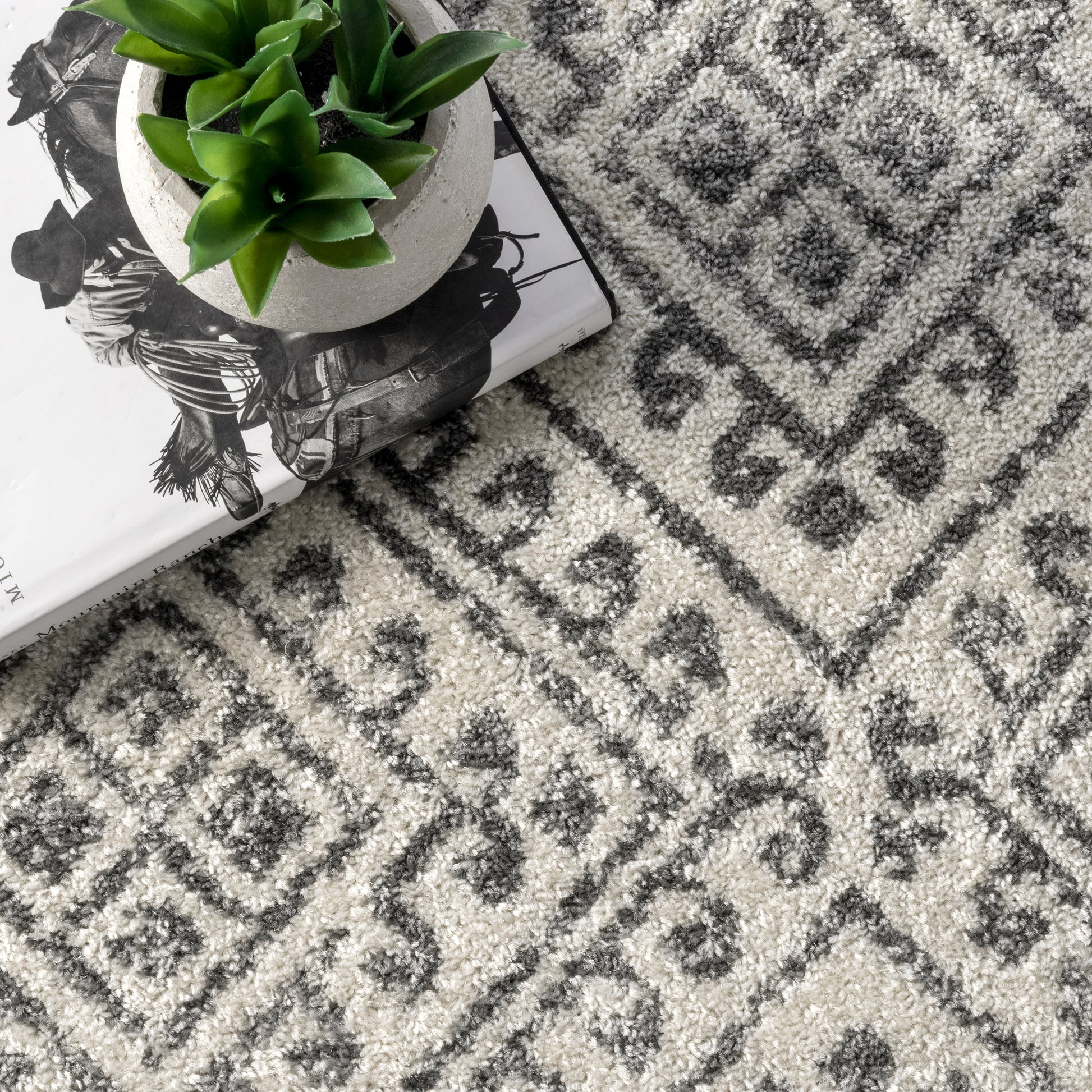 Nuloom Camila Trellis Nca1329A Off White Area Rug