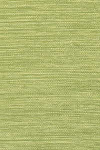 Chandra India ch-ind-6 Green Solid Color Area Rug
